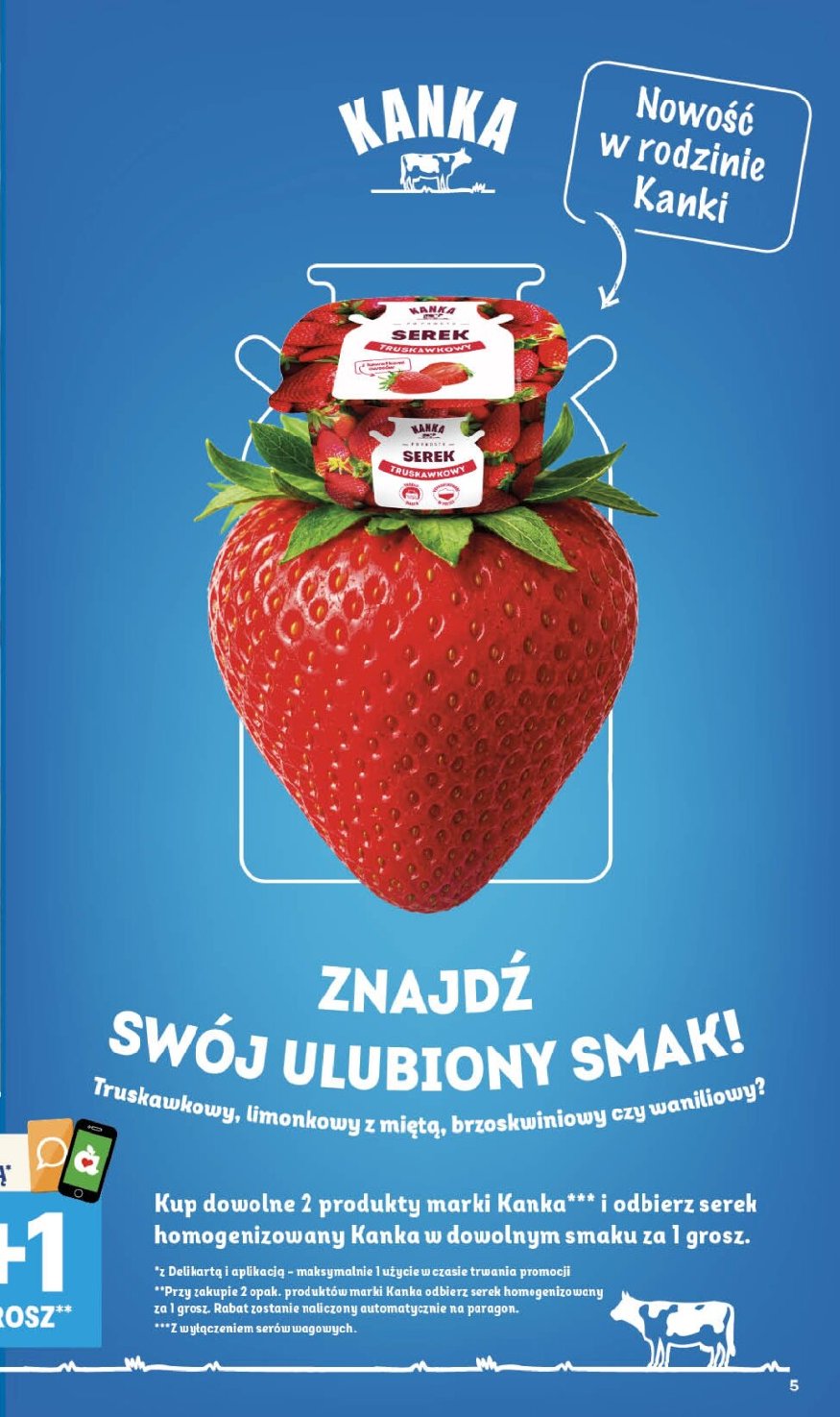 Gazetka Delikatesy-centrum 13/08/2026 – 19/08/2026 - gazetki promocyjne str. 5