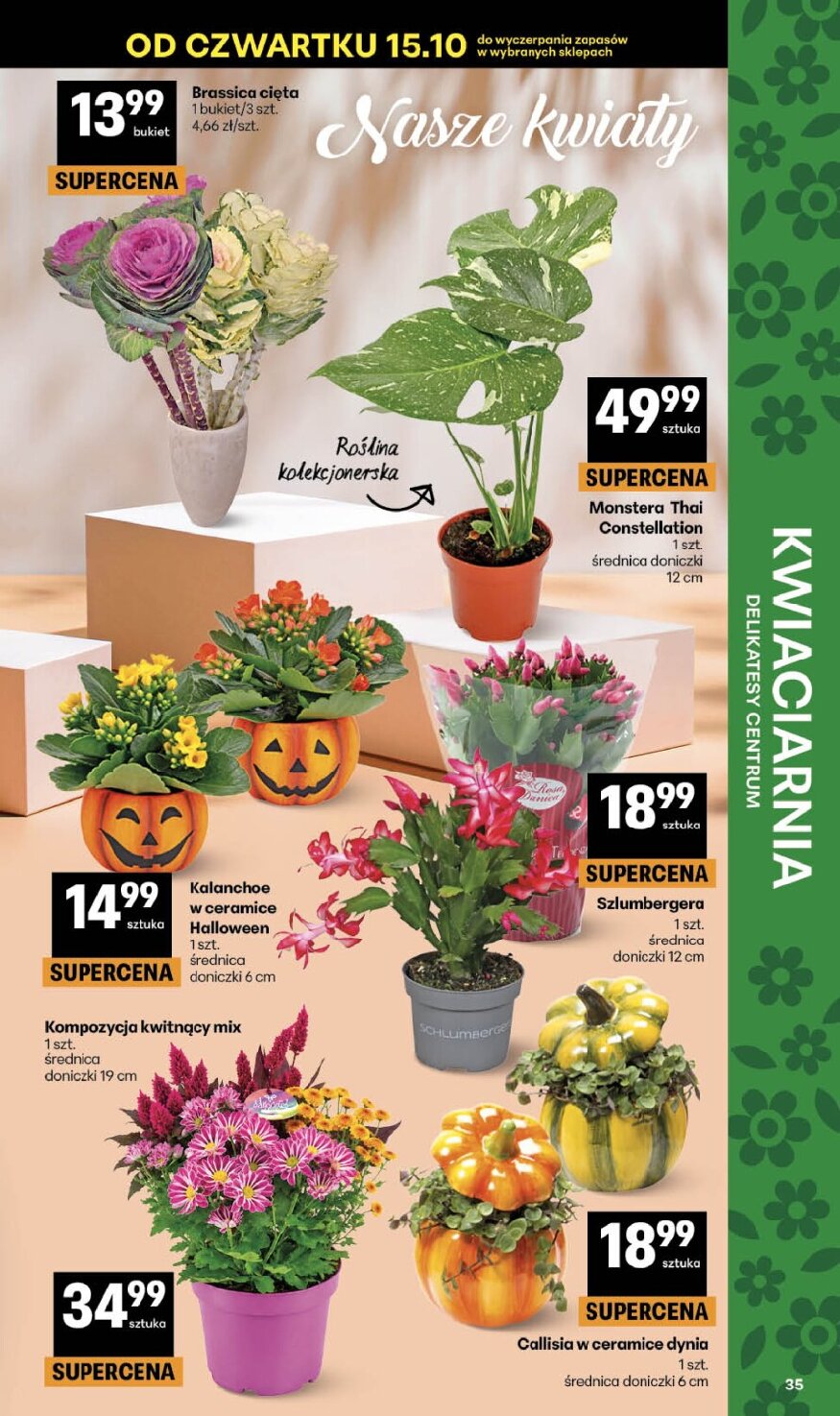 Gazetka Delikatesy-centrum 15/10/2026 – 21/10/2026 - gazetki promocyjne str. 35