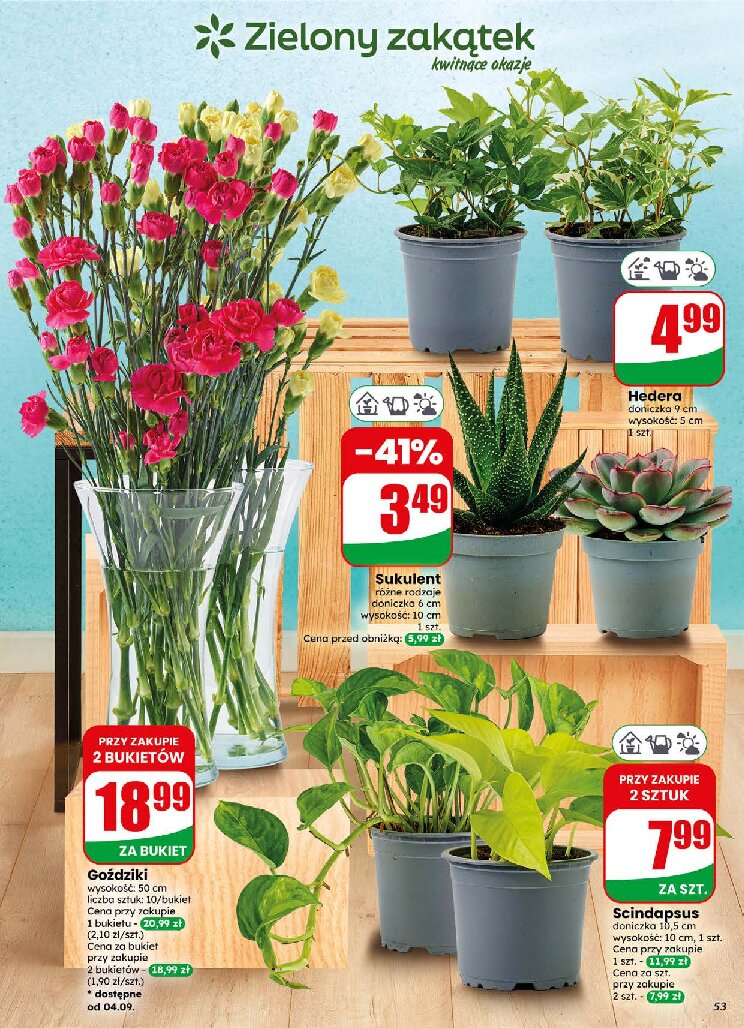 Gazetka Dino 02/09/2026 – 08/09/2026 - gazetki promocyjne str. 53