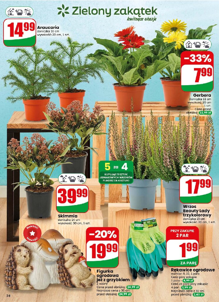 Gazetka Dino 02/09/2026 – 08/09/2026 - gazetki promocyjne str. 54