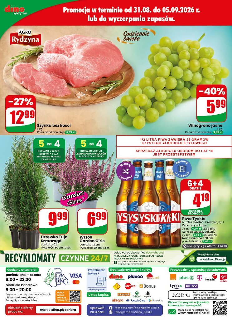 Gazetka Dino 02/09/2026 – 08/09/2026 - gazetki promocyjne str. 80