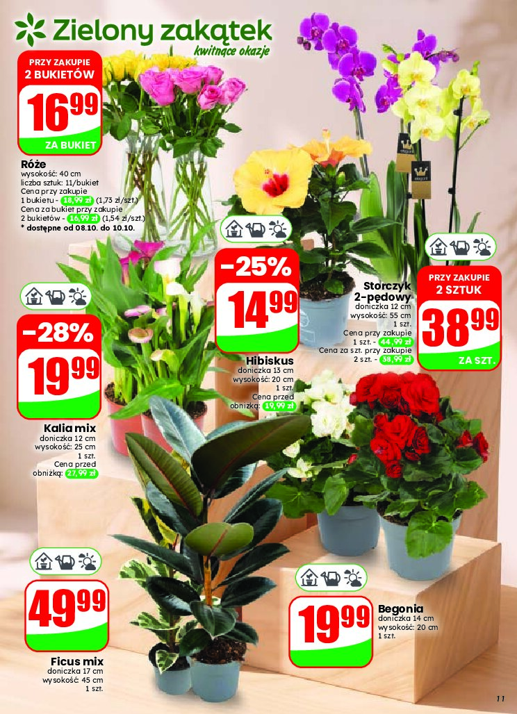 Gazetka Dino 07/10/2026 – 13/10/2026 - gazetki promocyjne str. 11