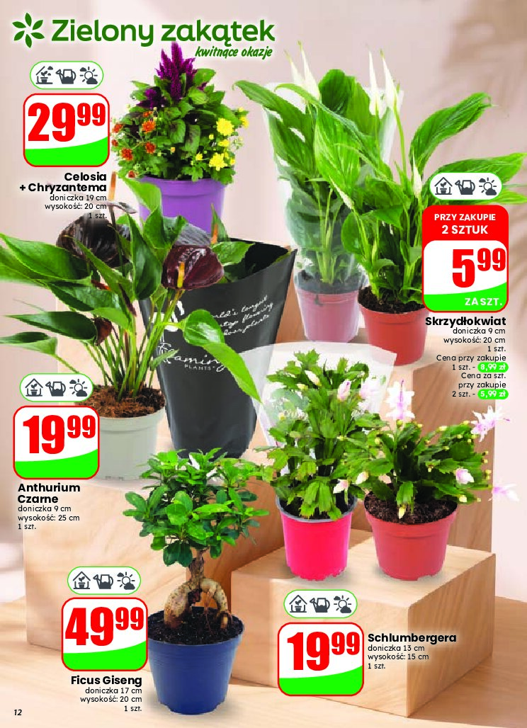 Gazetka Dino 07/10/2026 – 13/10/2026 - gazetki promocyjne str. 12