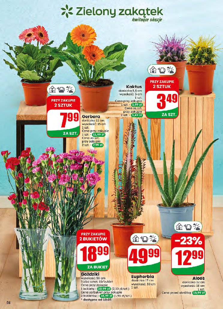 Gazetka Dino 08/07/2026 – 14/07/2026 - strona 56