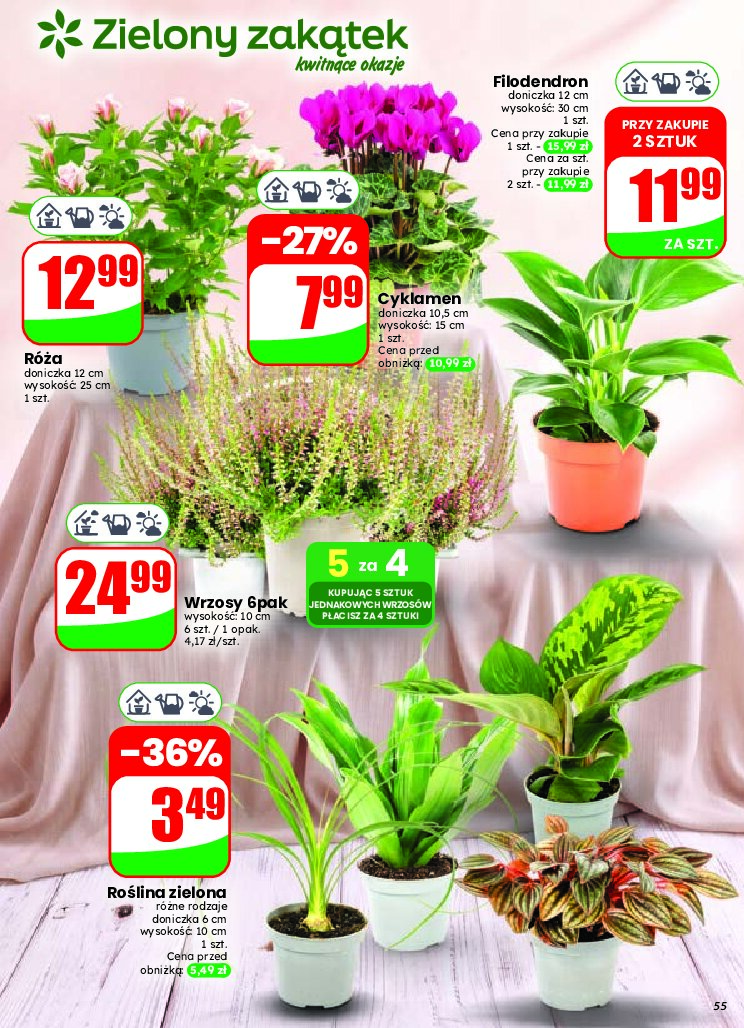 Gazetka Dino 09/09/2026 – 15/09/2026 - gazetki promocyjne str. 55