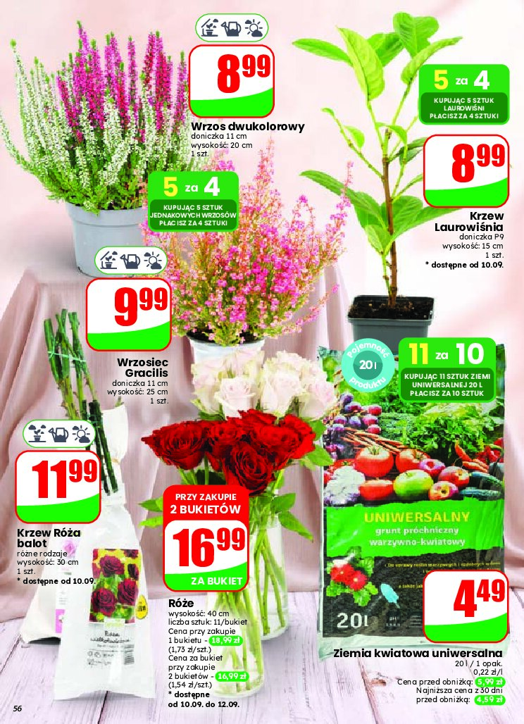 Gazetka Dino 09/09/2026 – 15/09/2026 - gazetki promocyjne str. 56
