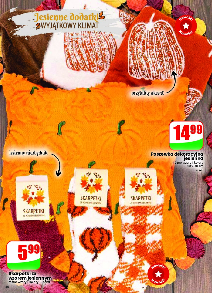 Gazetka Dino 09/09/2026 – 15/09/2026 - gazetki promocyjne str. 58