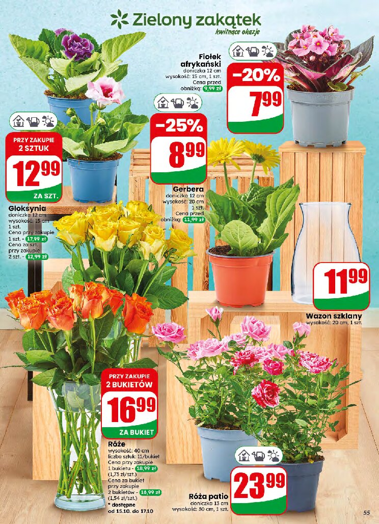 Gazetka Dino 14/10/2026 – 20/10/2026 - gazetki promocyjne str. 55
