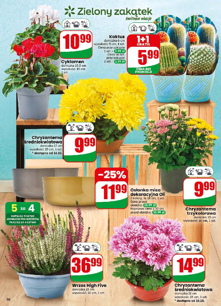 Gazetka Dino 14/10/2026 – 20/10/2026 - gazetki promocyjne str. 56