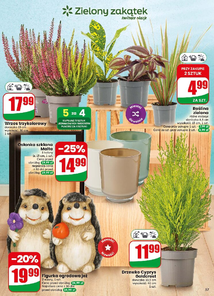 Gazetka Dino 16/09/2026 – 22/09/2026 - gazetki promocyjne str. 57