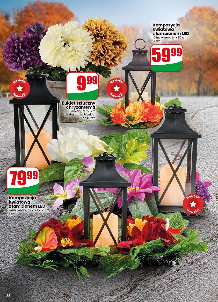 Gazetka Dino 16/09/2026 – 22/09/2026 - gazetki promocyjne str. 58