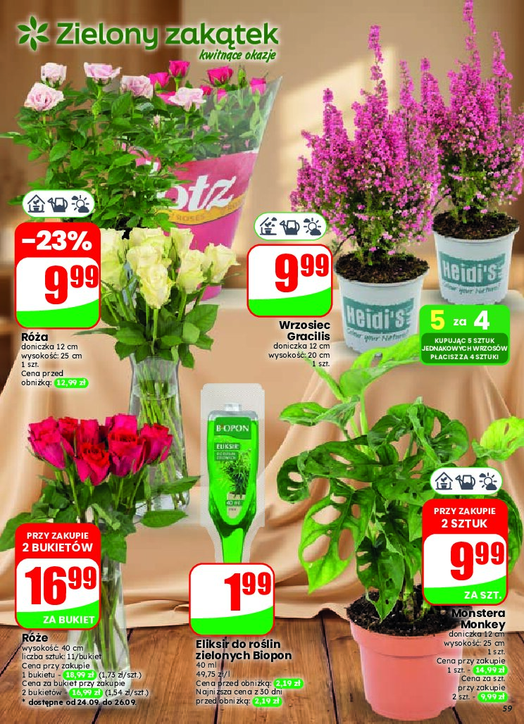 Gazetka Dino 23/09/2026 – 29/09/2026 - gazetki promocyjne str. 59