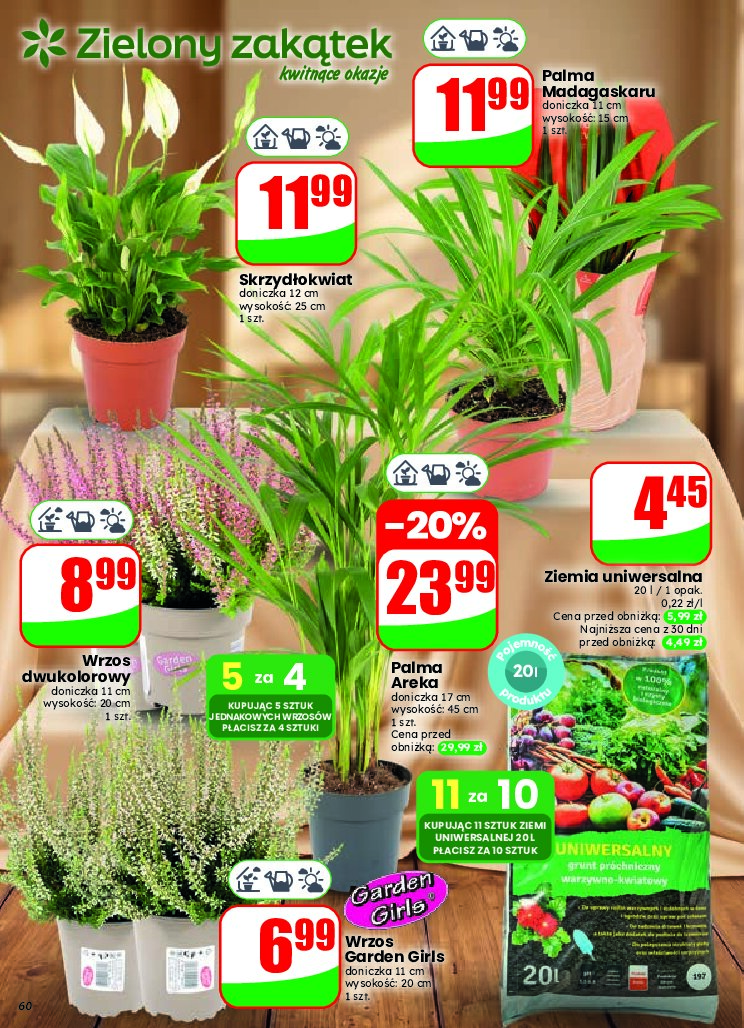 Gazetka Dino 23/09/2026 – 29/09/2026 - gazetki promocyjne str. 60