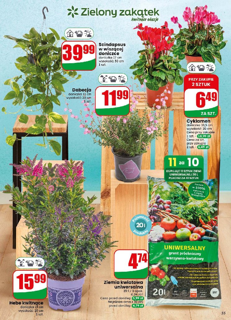 Gazetka Dino 29/07/2026 – 04/08/2026 - strona 55