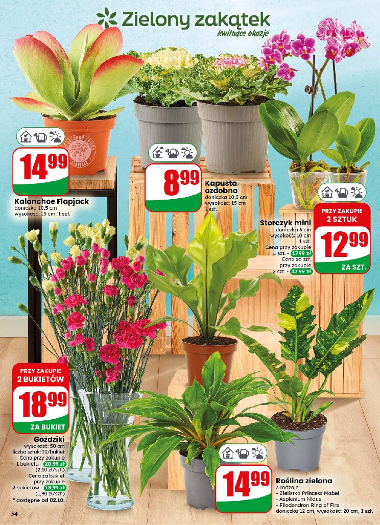 Gazetka Dino 30/09/2026 – 06/10/2026 - gazetki promocyjne str. 54