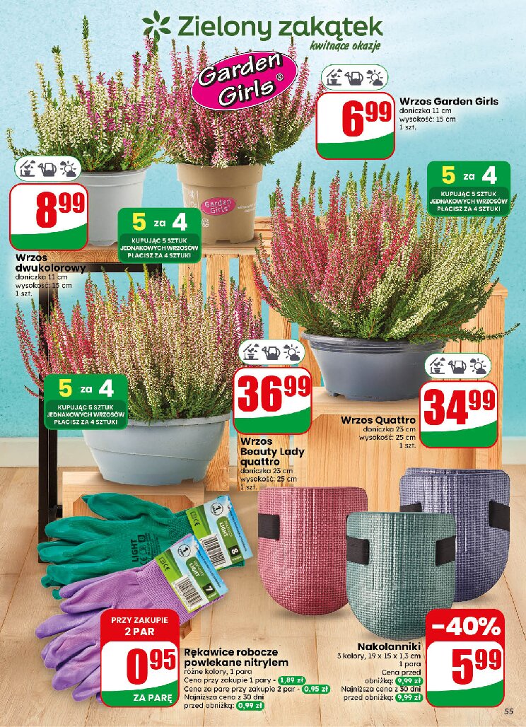 Gazetka Dino 30/09/2026 – 06/10/2026 - gazetki promocyjne str. 55
