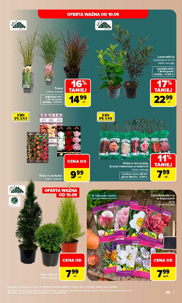 Gazetka Carrefour 07/09/2026 – 19/09/2026 - gazetki promocyjne str. 3