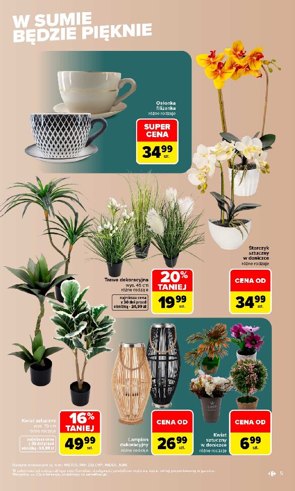 Gazetka Carrefour 07/09/2026 – 19/09/2026 - gazetki promocyjne str. 5