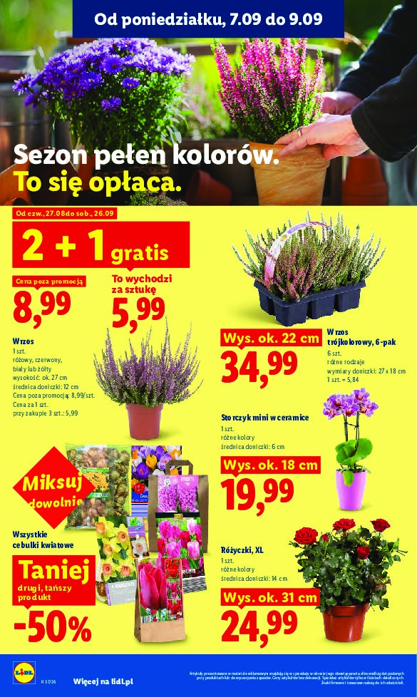 Gazetka Lidl 07/09/2026 – 09/09/2026 - gazetki promocyjne str. 82
