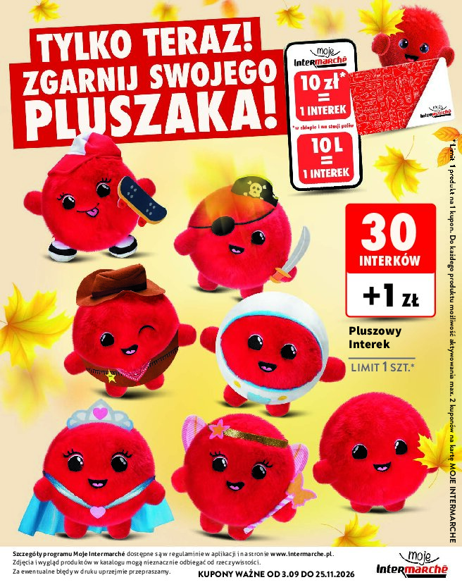 Gazetka Intermarche 03/09/2026 – 25/11/2026 - gazetki promocyjne str. 33