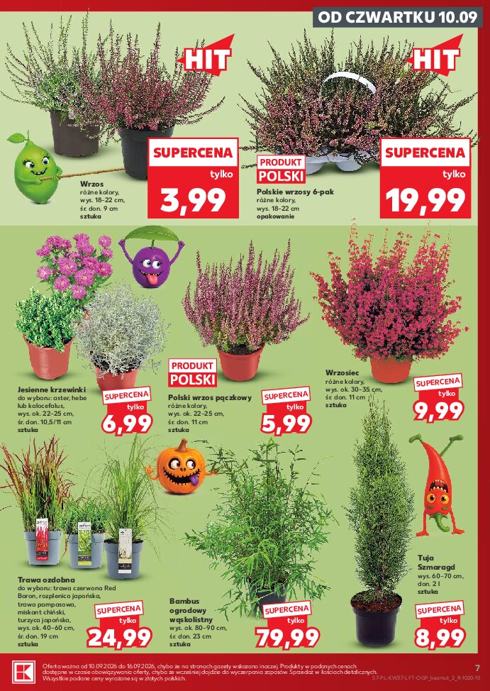 Gazetka Kaufland 10/09/2026 – 16/09/2026 - gazetki promocyjne str. 7