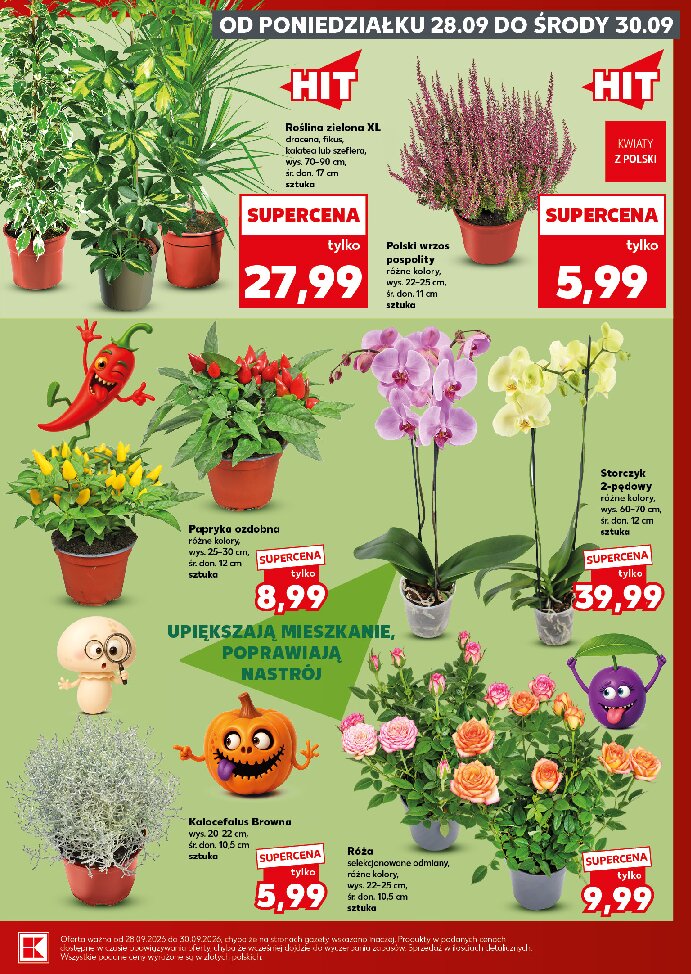 Gazetka Kaufland 28/09/2026 – 30/09/2026 - gazetki promocyjne str. 5