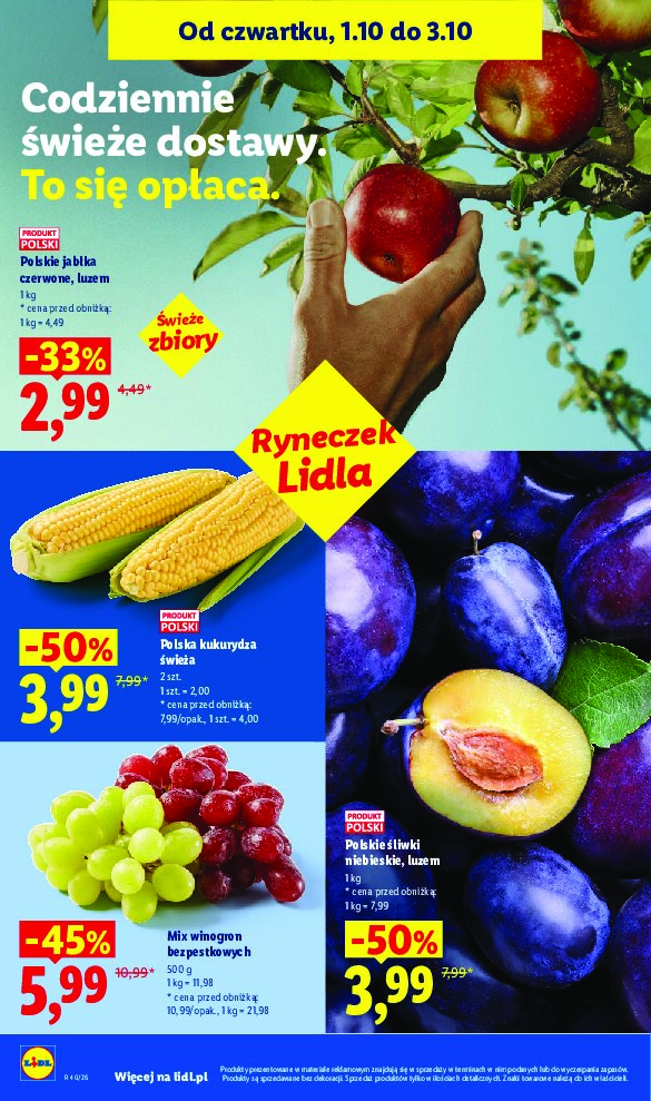 Gazetka Lidl 01/10/2026 – 03/10/2026 - gazetki promocyjne str. 48