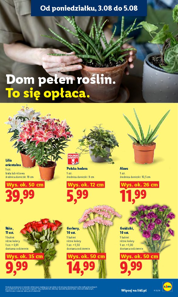 Gazetka Lidl 03/08/2026 – 05/08/2026 - strona 91