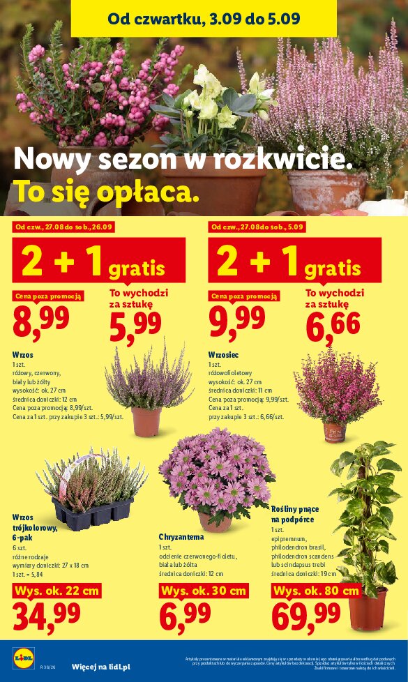 Gazetka Lidl 03/09/2026 – 05/09/2026 - gazetki promocyjne str. 90