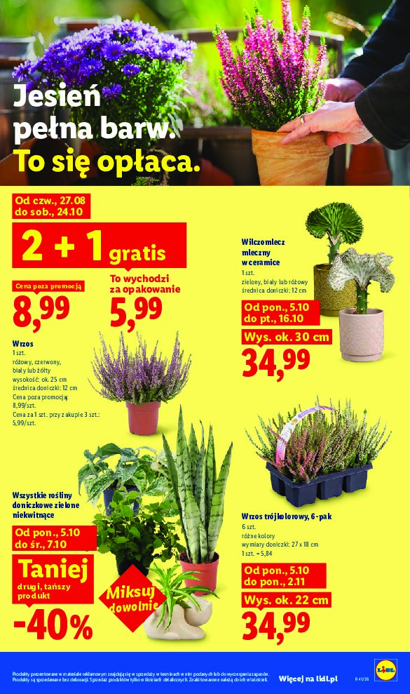 Gazetka Lidl 05/10/2026 – 10/10/2026 - gazetki promocyjne str. 89