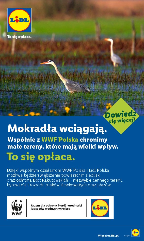 Gazetka Lidl 06/07/2026 – 11/07/2026 - strona 60