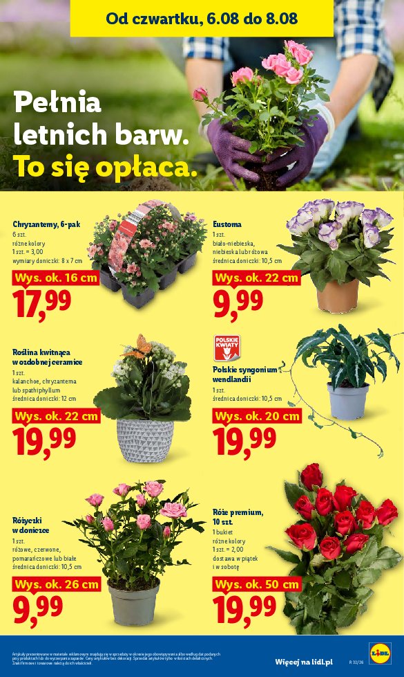Gazetka Lidl 06/08/2026 – 08/08/2026 - strona 87