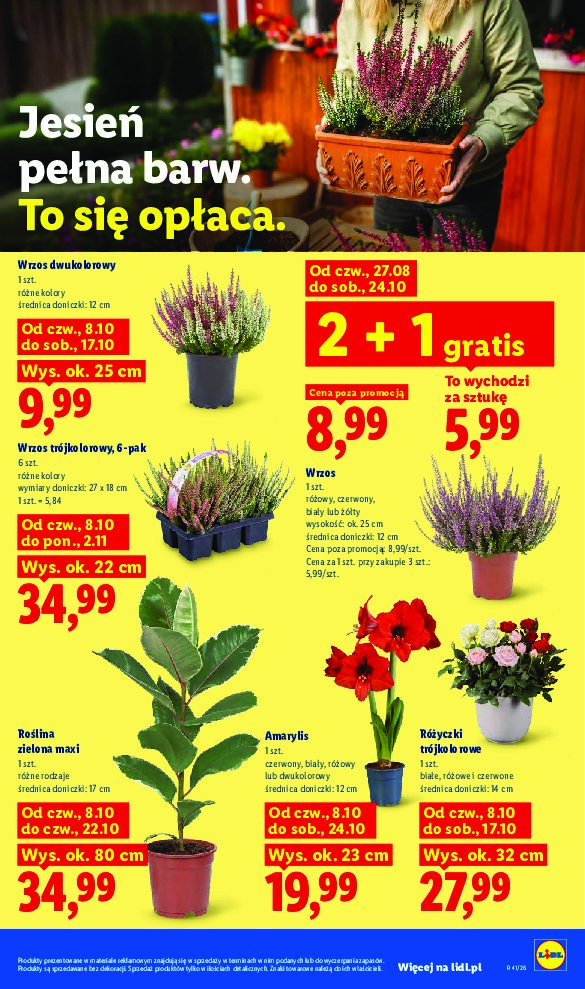 Gazetka Lidl 08/10/2026 – 14/10/2026 - gazetki promocyjne str. 85