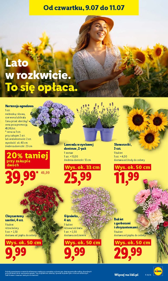 Gazetka Lidl 09/07/2026 – 11/07/2026 - strona 85
