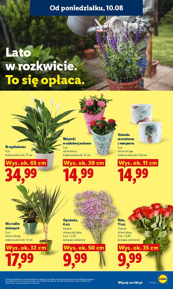 Gazetka Lidl 10/08/2026 – 11/08/2026 - strona 93