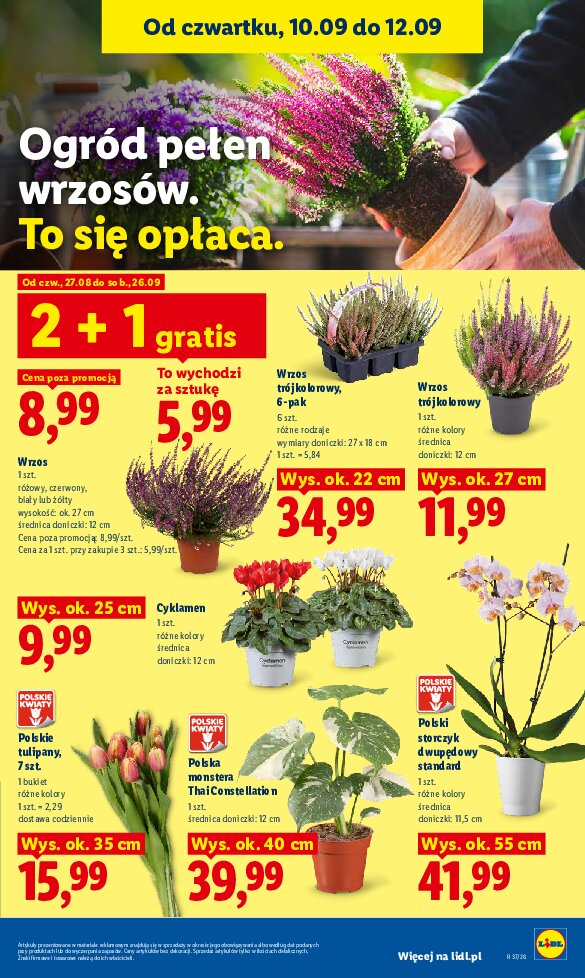 Gazetka Lidl 10/09/2026 – 12/09/2026 - gazetki promocyjne str. 83