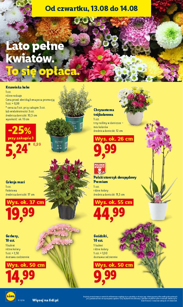 Gazetka Lidl 12/08/2026 – 14/08/2026 - strona 86