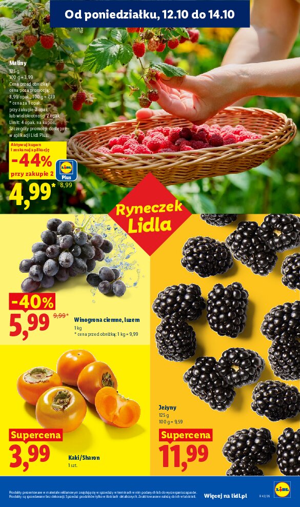 Gazetka Lidl 12/10/2026 – 17/10/2026 - gazetki promocyjne str. 51