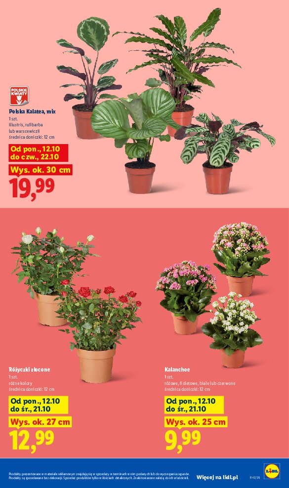 Gazetka Lidl 12/10/2026 – 17/10/2026 - gazetki promocyjne str. 9