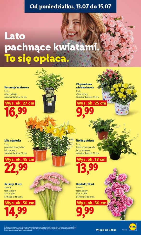 Gazetka Lidl 13/07/2026 – 15/07/2026 - strona 87