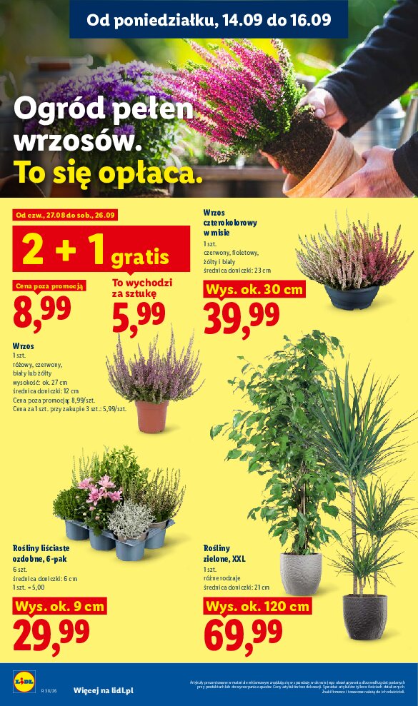 Gazetka Lidl 14/09/2026 – 16/09/2026 - gazetki promocyjne str. 78