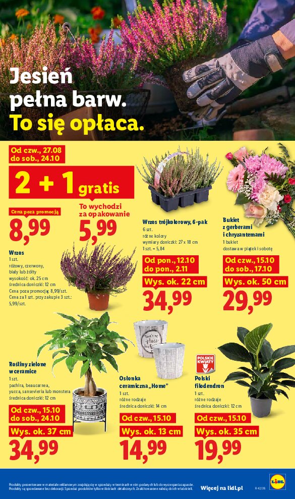 Gazetka Lidl 15/10/2026 – 21/10/2026 - gazetki promocyjne str. 107