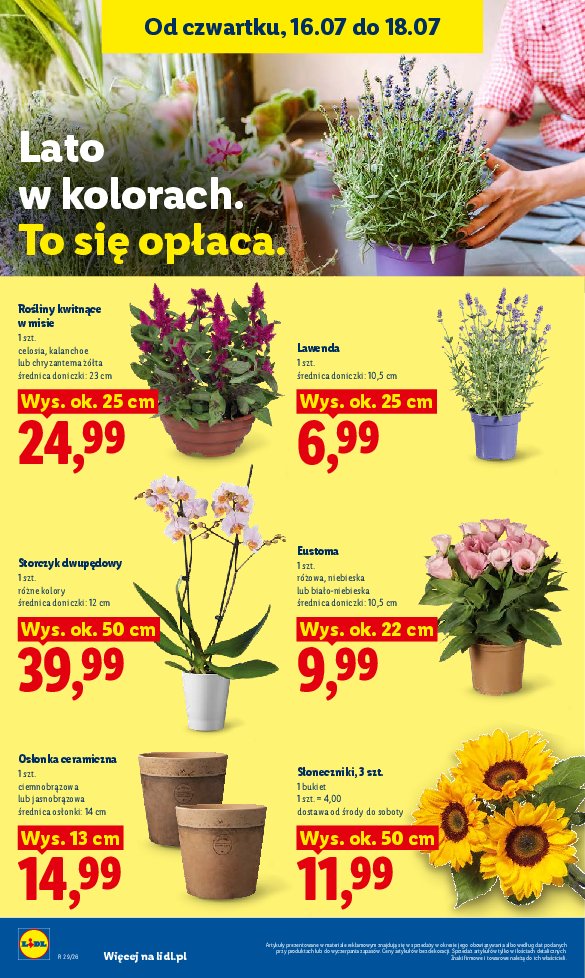 Gazetka Lidl 16/07/2026 – 18/07/2026 - strona 94