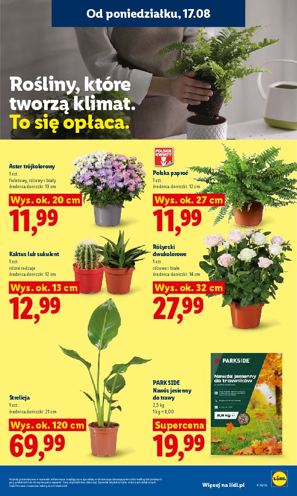 Gazetka Lidl 17/08/2026 – 19/08/2026 - strona 77