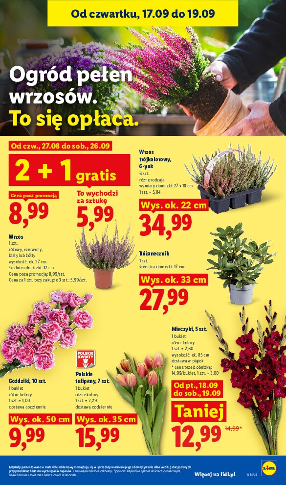 Gazetka Lidl 17/09/2026 – 19/09/2026 - gazetki promocyjne str. 85