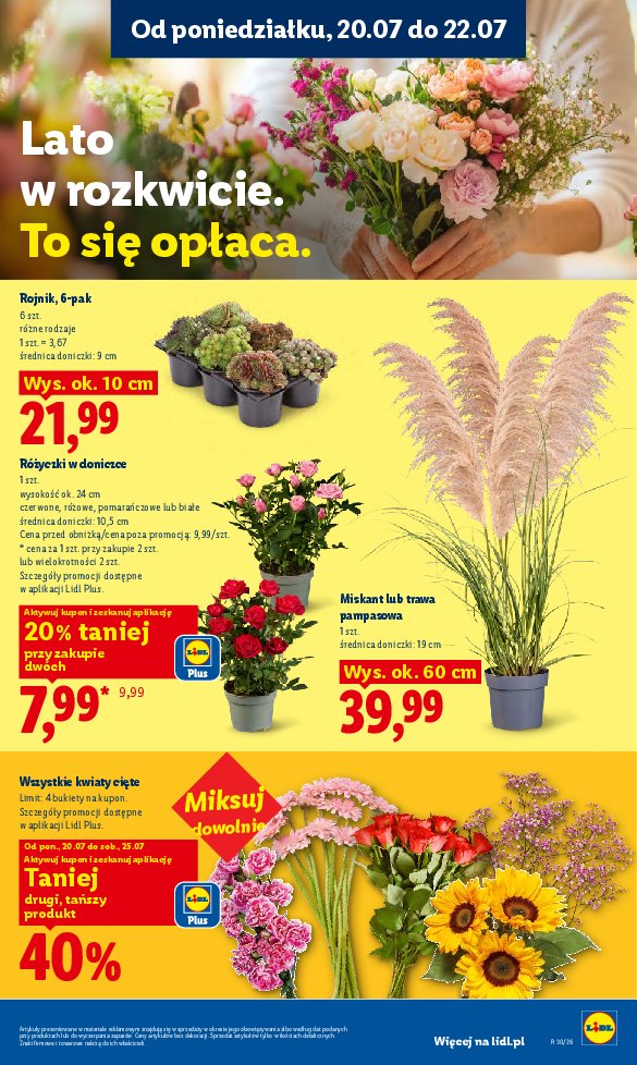 Gazetka Lidl 20/07/2026 – 22/07/2026 - strona 99
