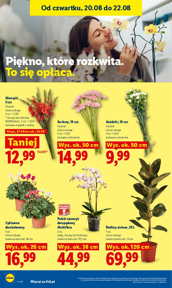 Gazetka Lidl 20/08/2026 – 22/08/2026 - strona 96