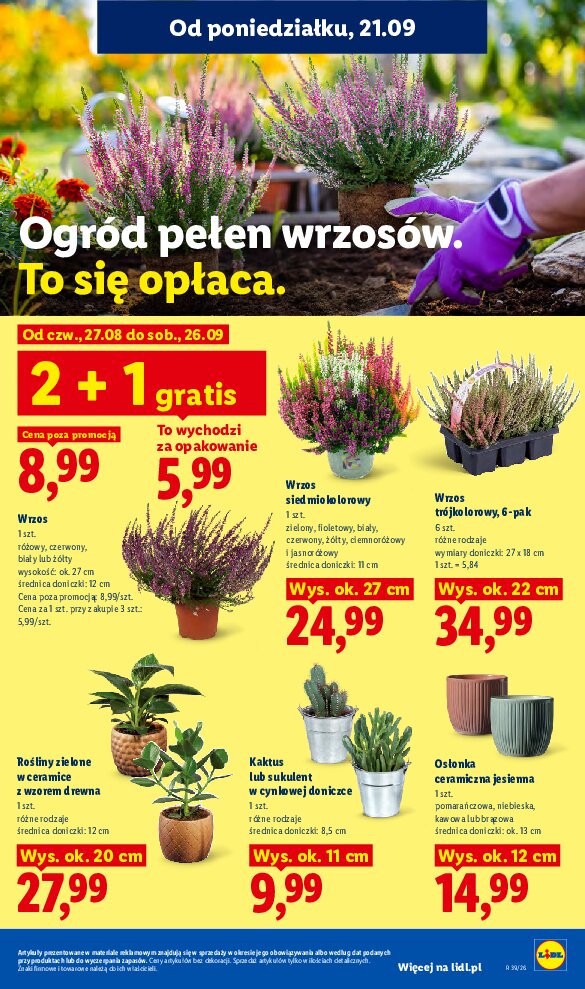 Gazetka Lidl 21/09/2026 – 23/09/2026 - gazetki promocyjne str. 91