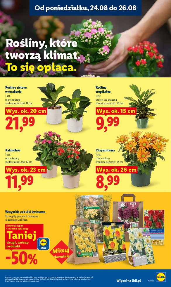 Gazetka Lidl 24/08/2026 – 26/08/2026 - strona 85
