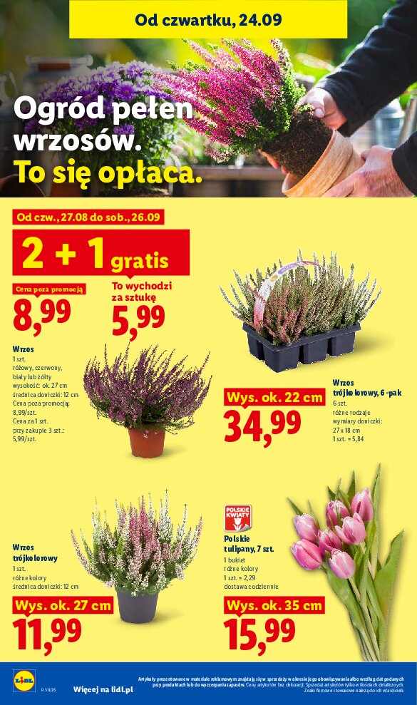 Gazetka Lidl 24/09/2026 – 26/09/2026 - gazetki promocyjne str. 100
